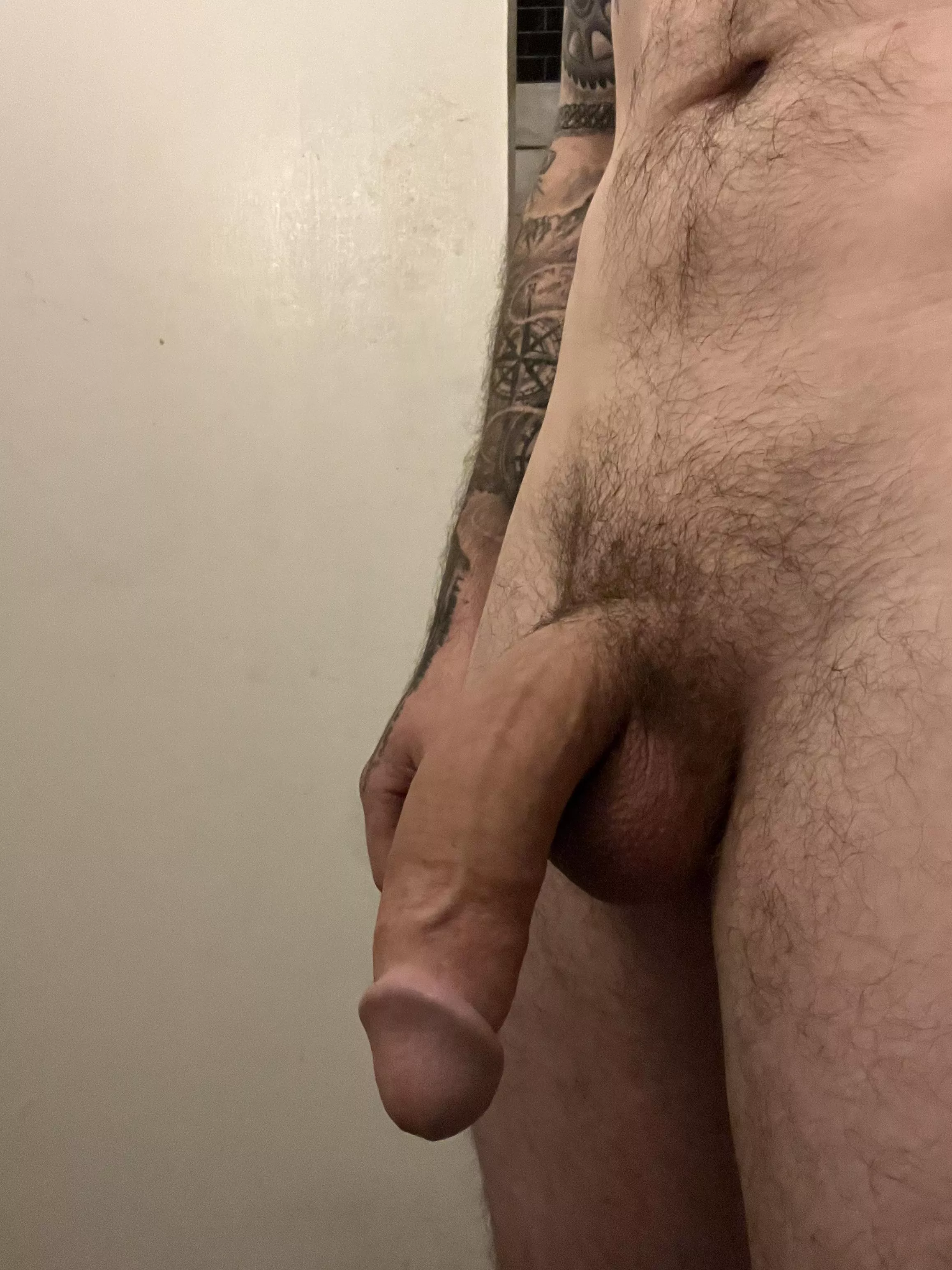 Still look big soft? posted by neighborwitharod