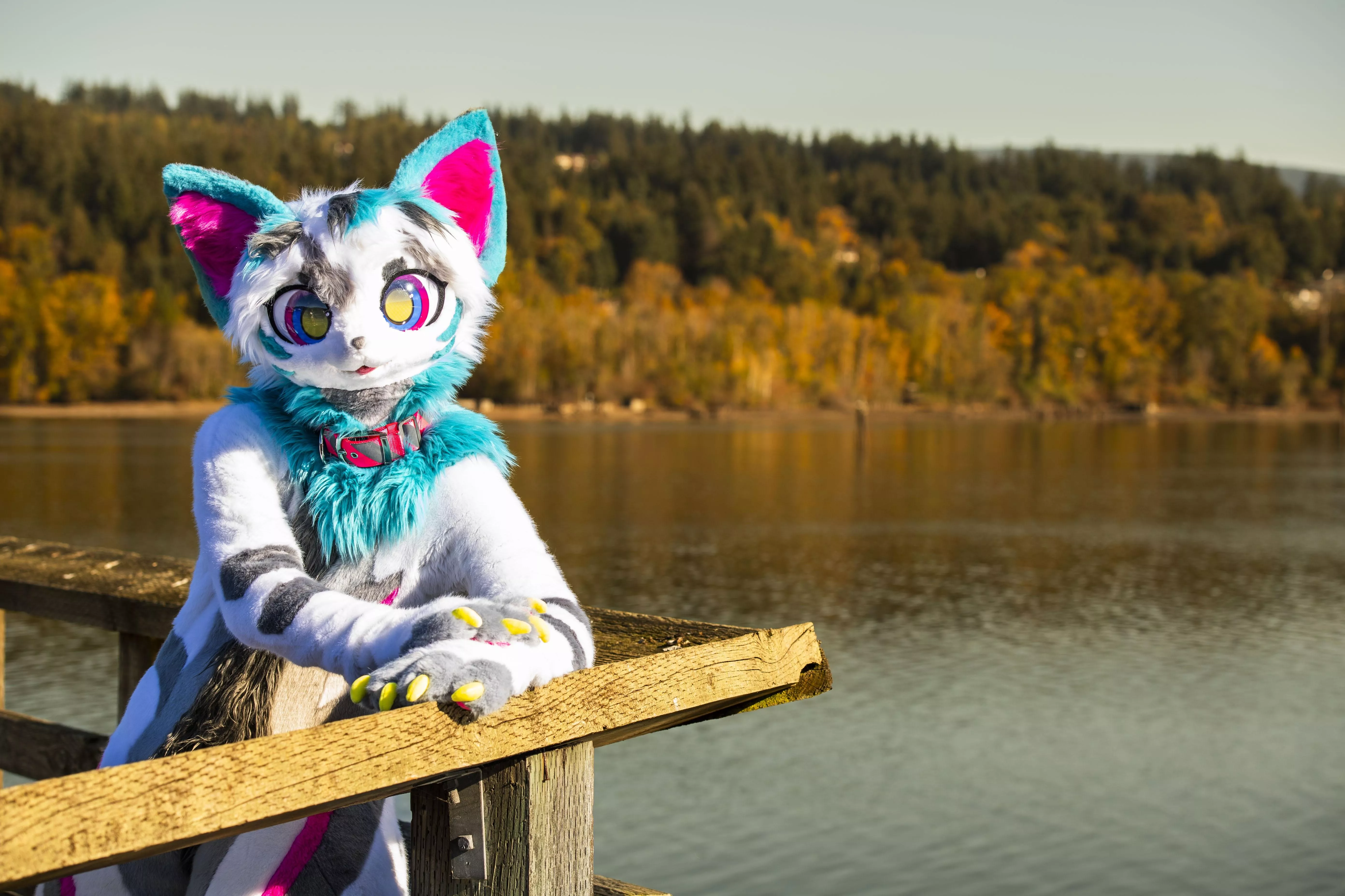 Sunset at the docks. posted by Hakusei15