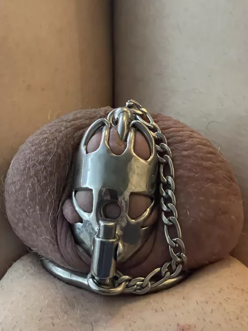 After being locked 24/7 for two years by gchunsicker