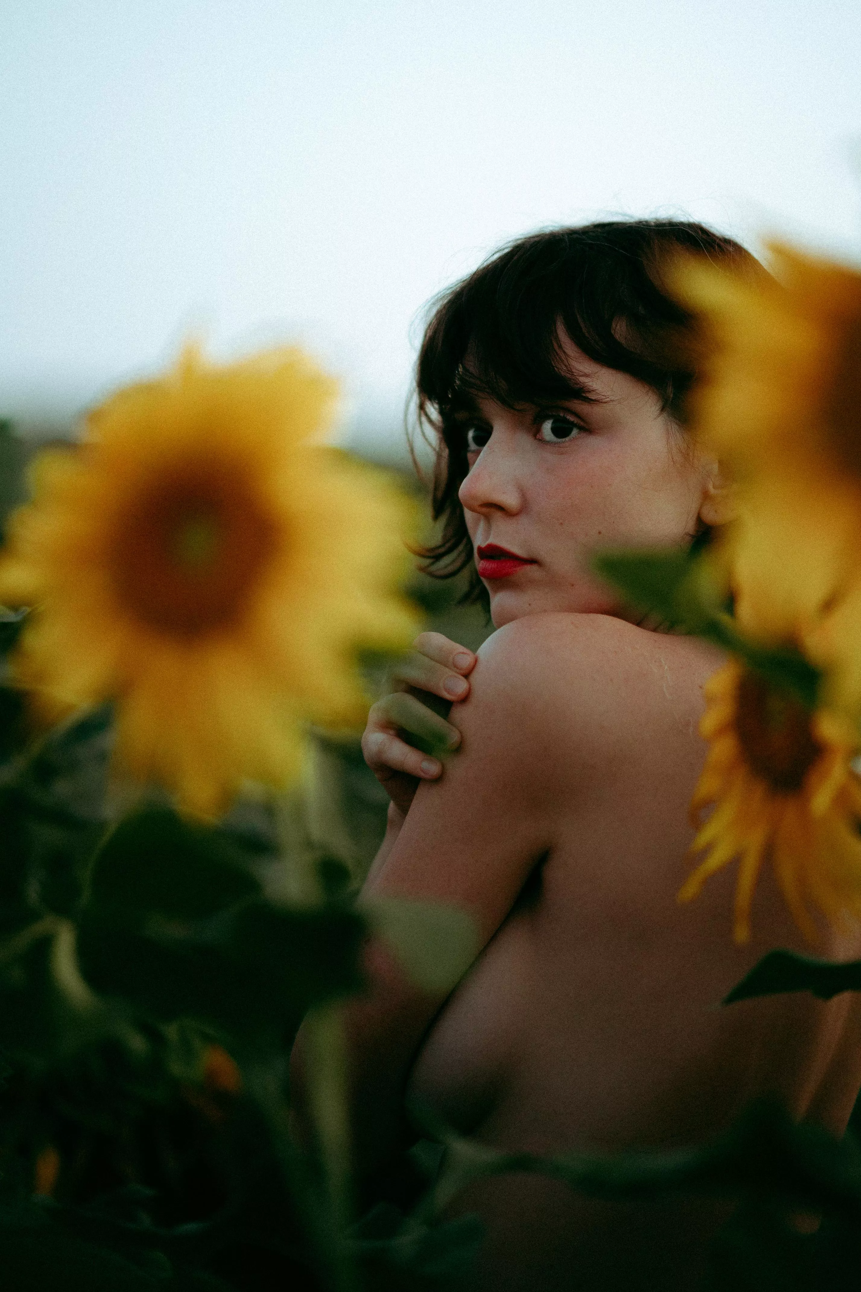 Hide and seek posted by PityCatHabbits