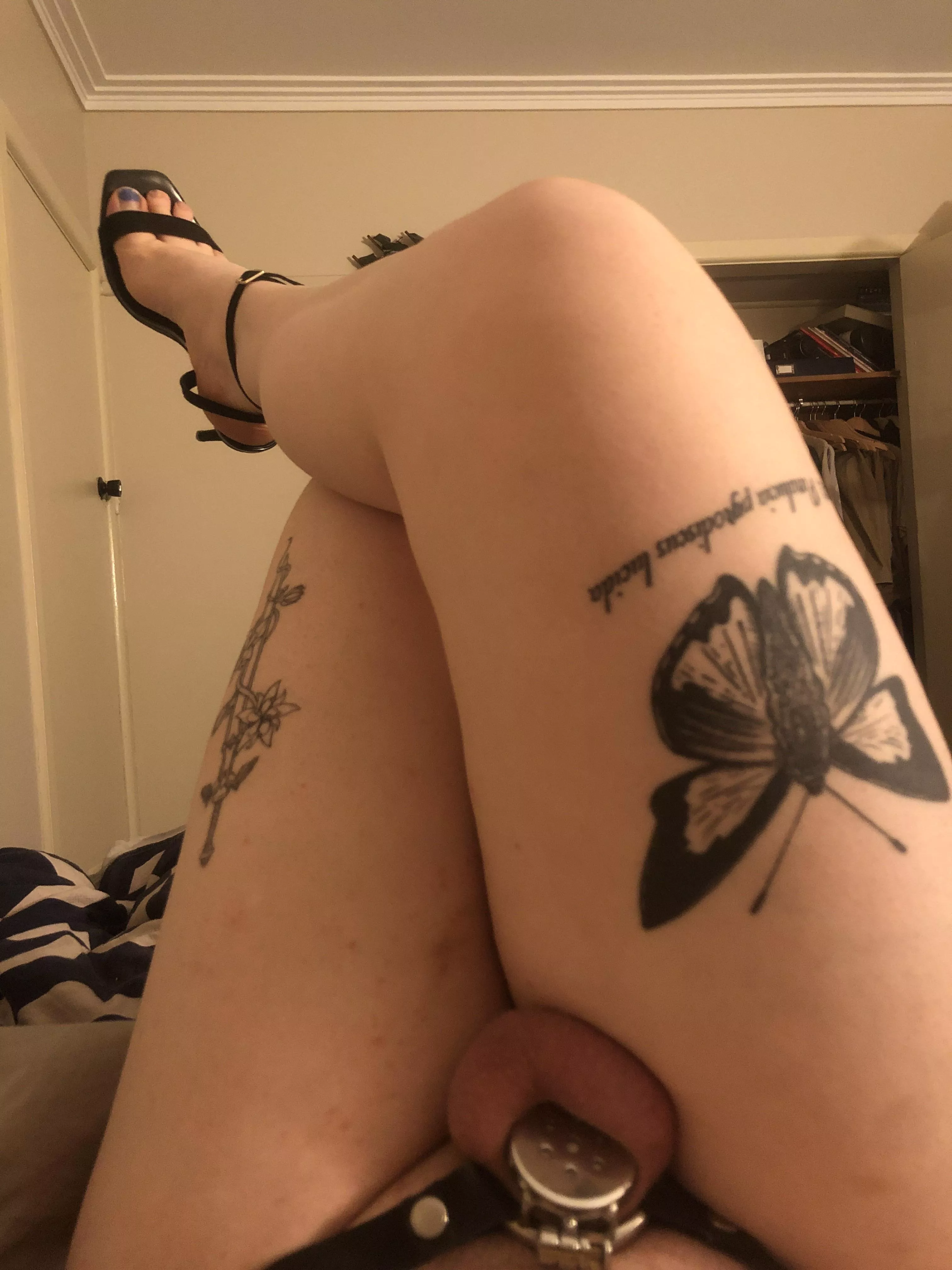 How long am I in chastity this time? posted by babybimbo6969