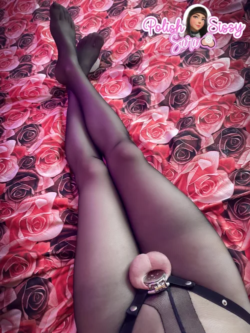 Is this cage small enough? by urfavsissysub