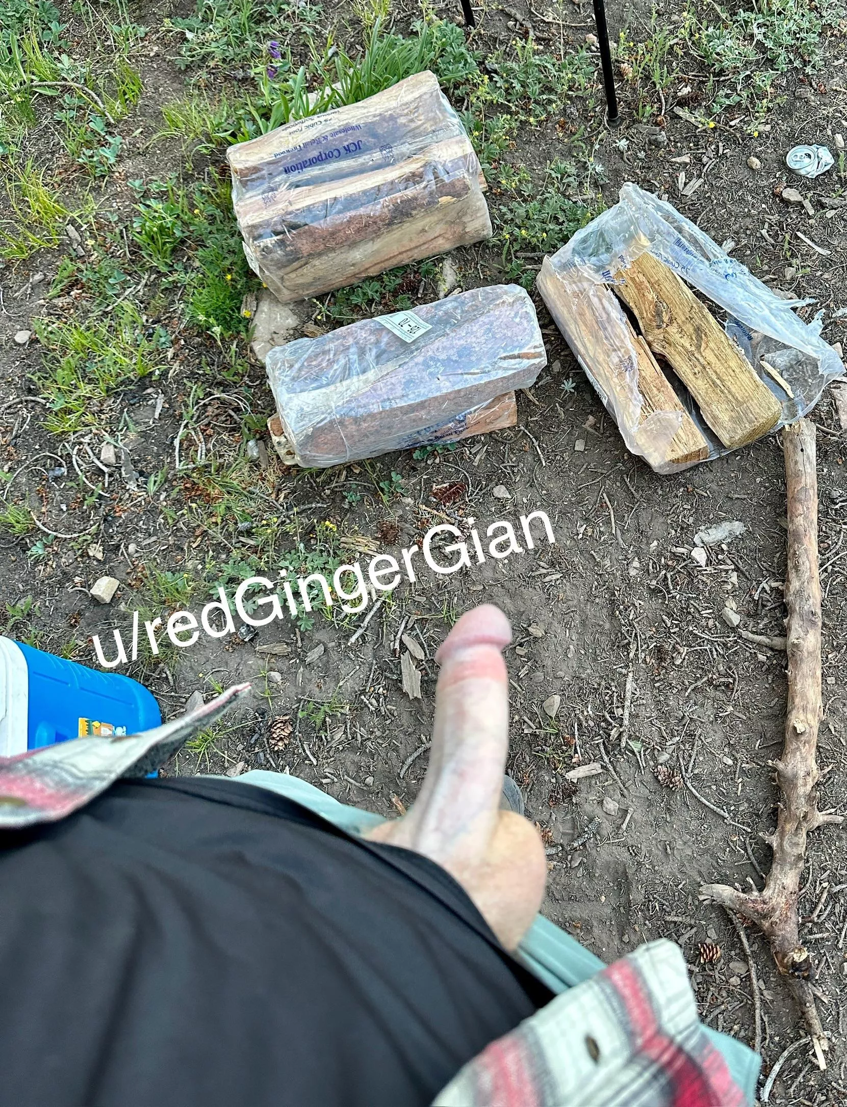 Need some wood? posted by redGingerGian