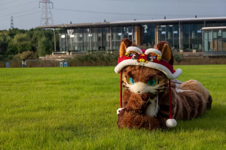 @tz12138 on Twitter, gazing at you quietly by Dragoniel