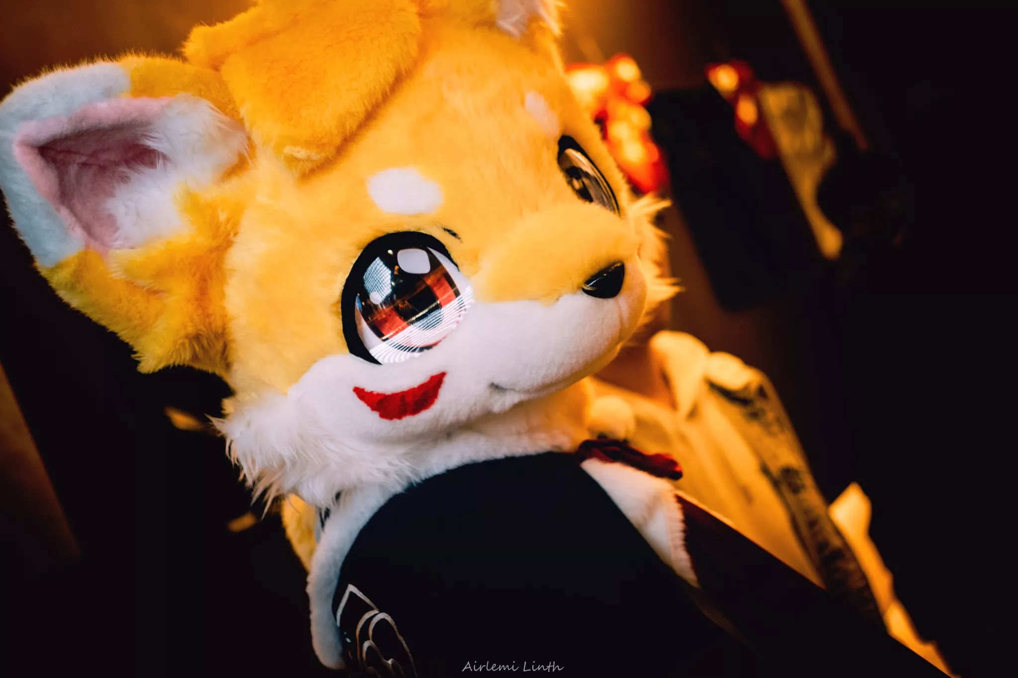 @Wolf_Bul on Twitter posted by Dragoniel