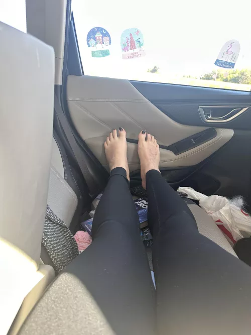 Can I be your passenger princess? by PrincessMeredith13