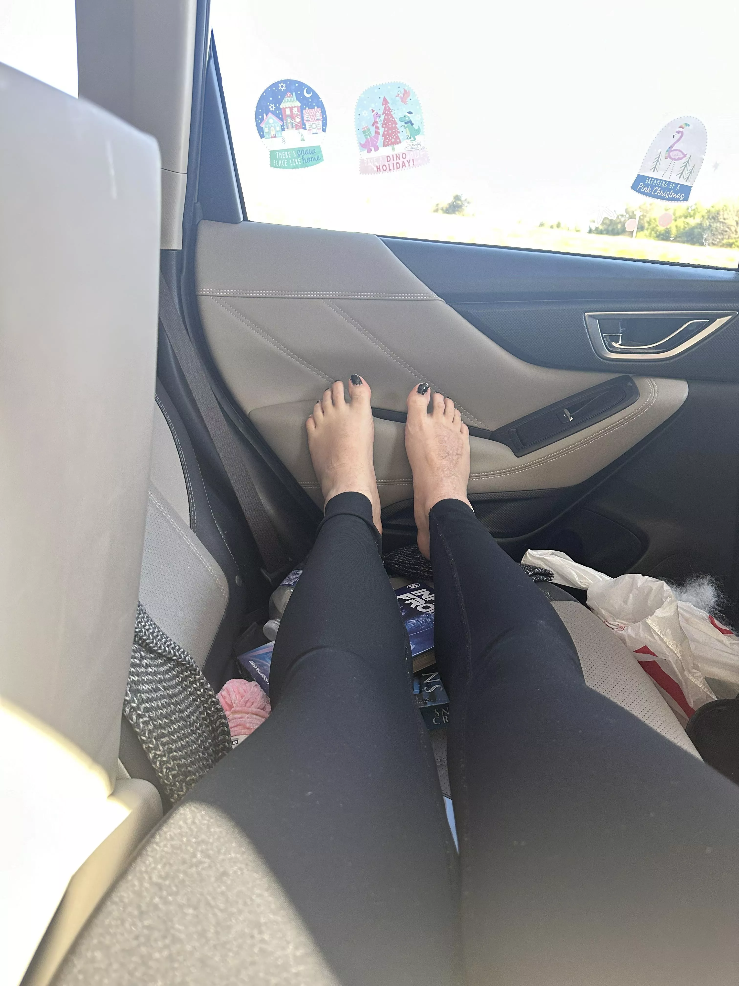 Can I be your passenger princess? posted by PrincessMeredith13