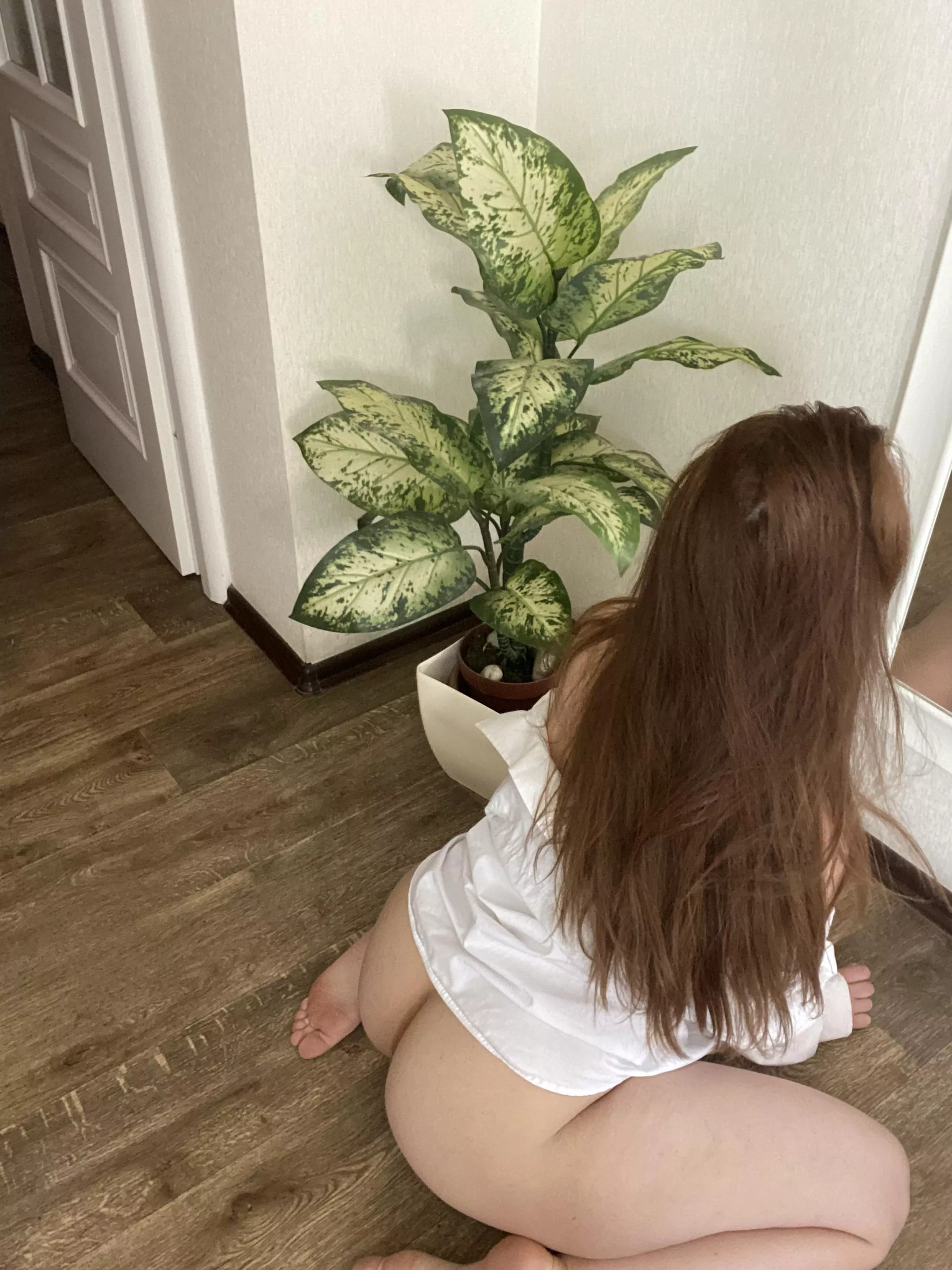 Come and lick me posted by BrilliantLonely22