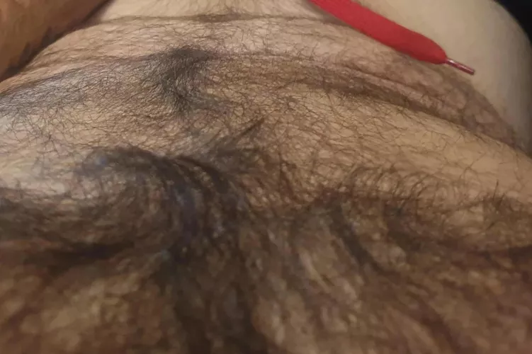 Evening chill time by HairyDiplodocus