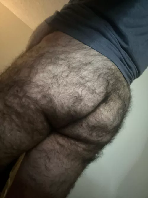 Late night posting by Agitated_Composer_56