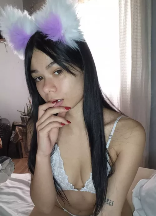 Small kitty by Ok_Fruit_6992