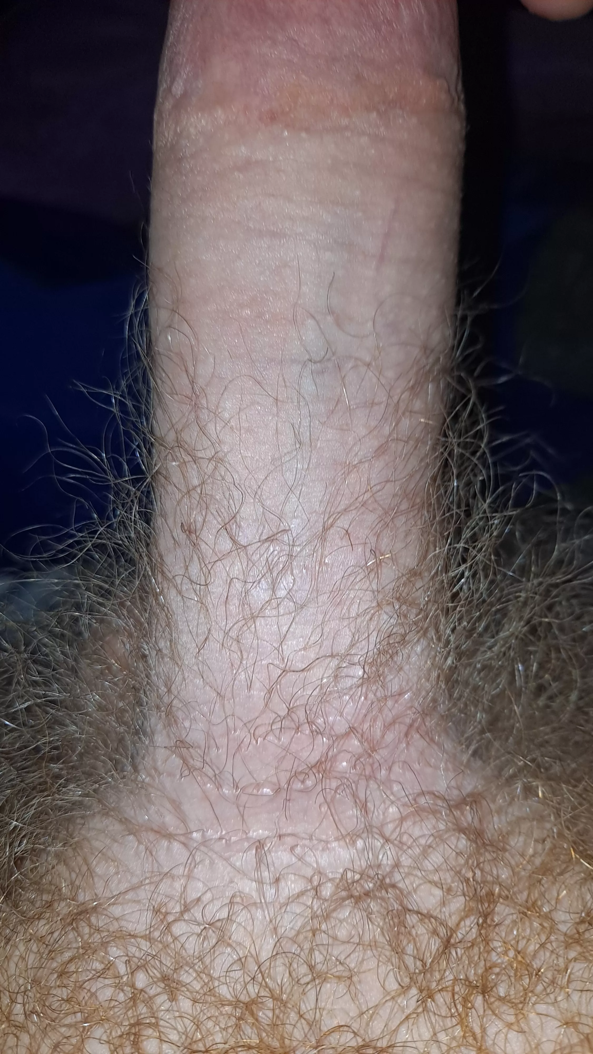 What do you think? posted by Lost_Collection3583