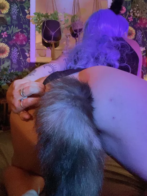 which is sexier, the tail or the ears? by glitter-bitch-