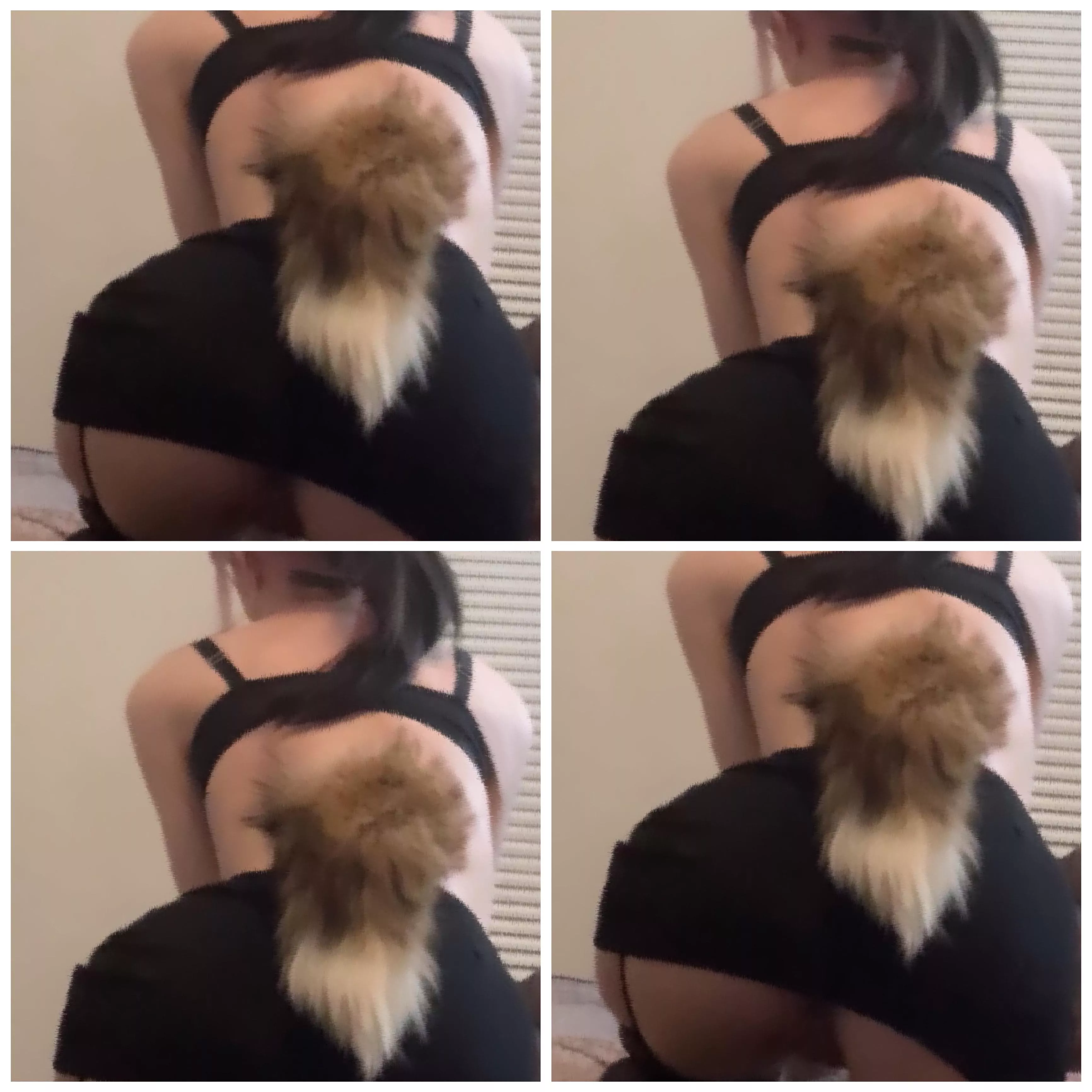 woof woof arf arf~ posted by itsjusthoneyyyy