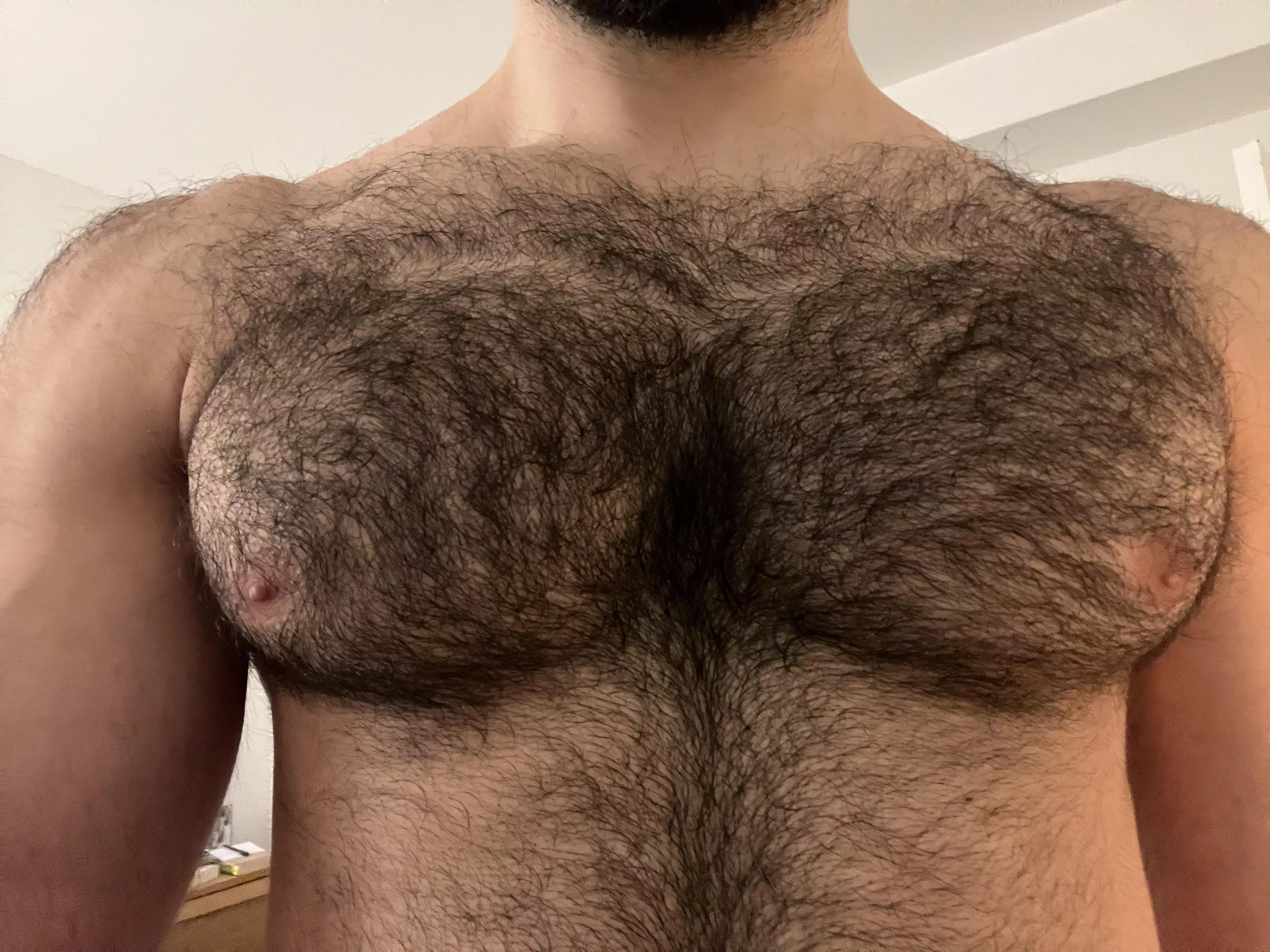 Almost too scruffy posted by vhugo2305