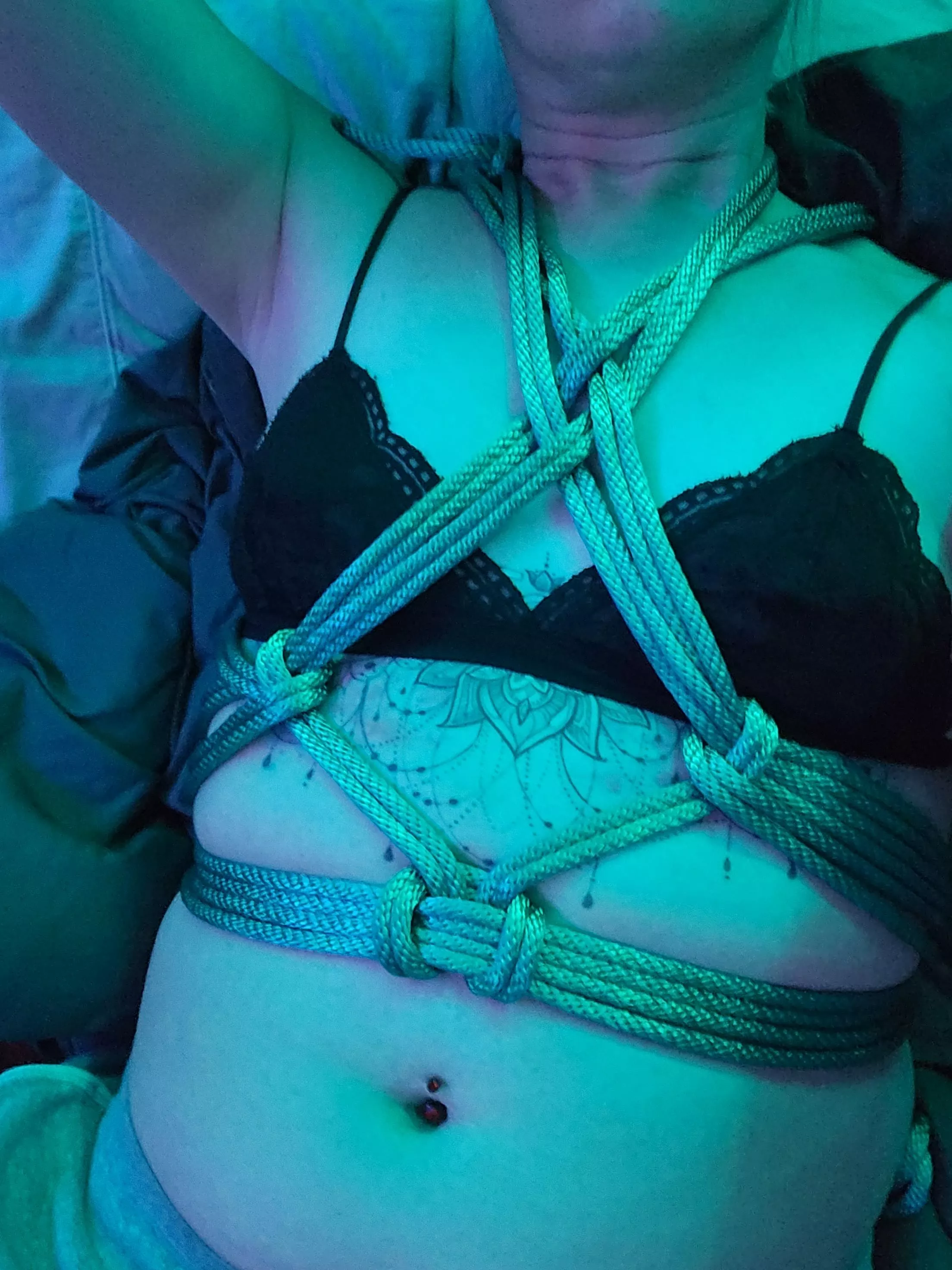 First attempt at the butterfly harness. Self tied. posted by swtchitupalt
