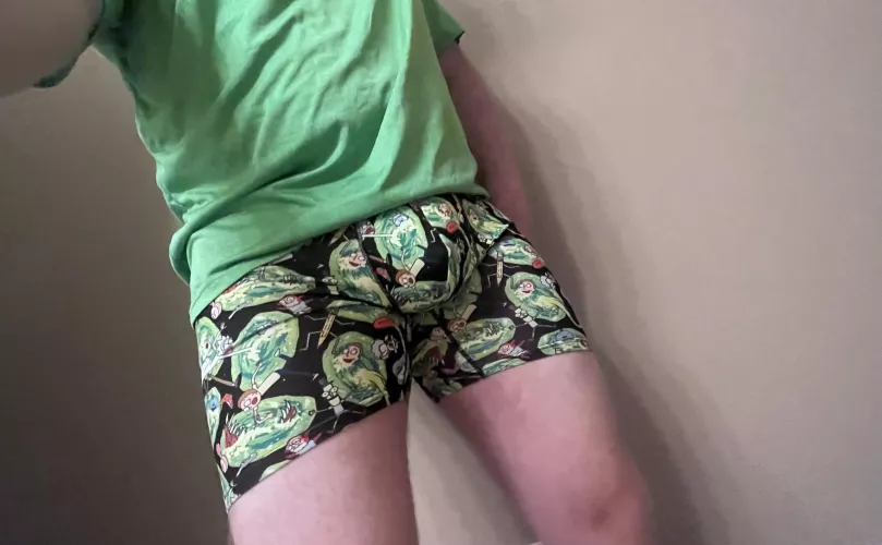 I turned myself into a budge, morty? [39] by BearsBeetsBattle84