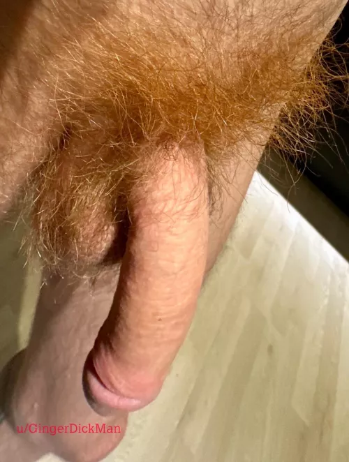 My pubes are long and wild now. Shall I get more hairy for you or trim it by GingerDickMan