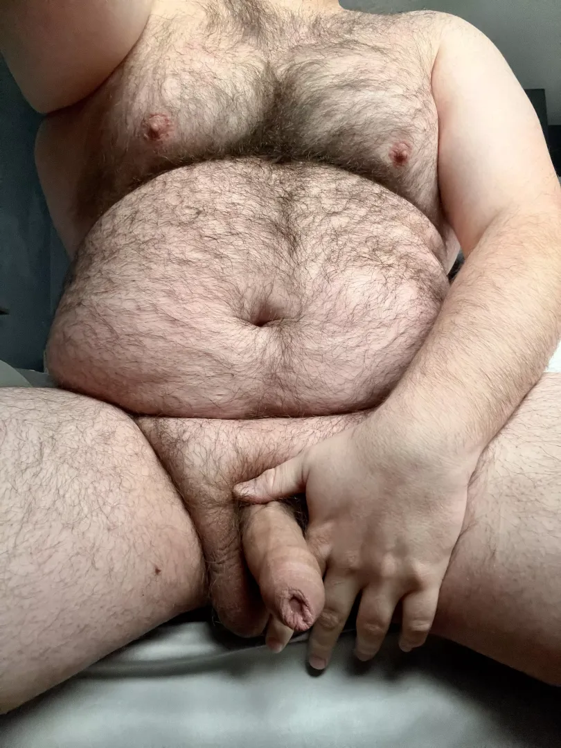 What would you do to a very hairy bear? posted by 7throwawaynsfw7