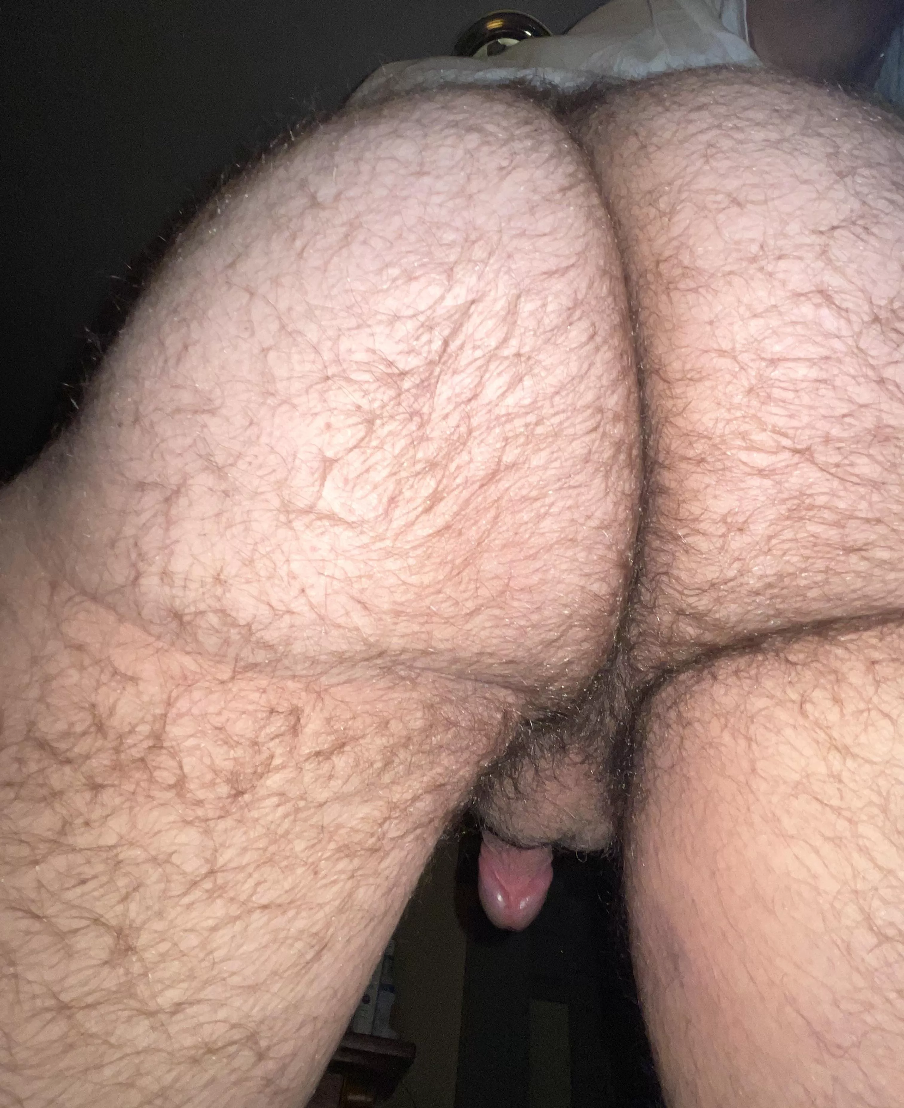 Who wants it? posted by Jolly_Hat_6560