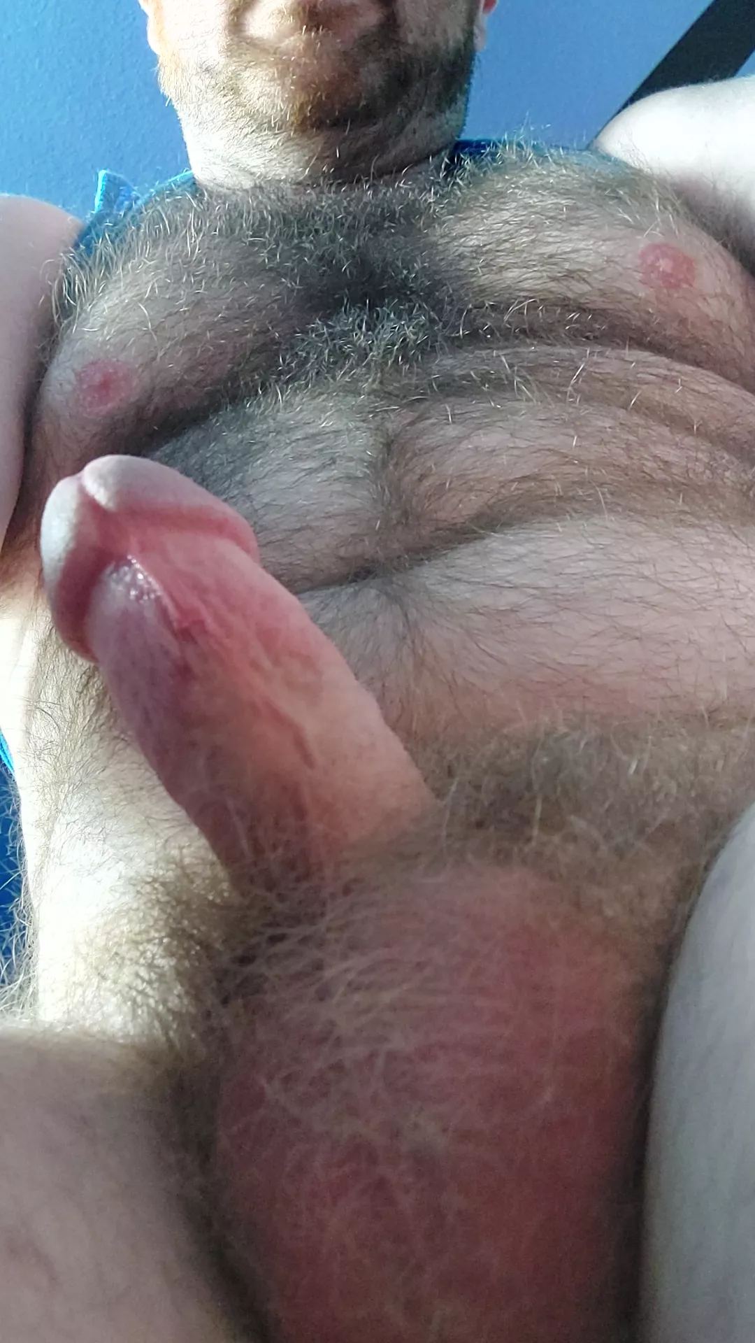 Y'all like the view from down there? posted by wumpacub