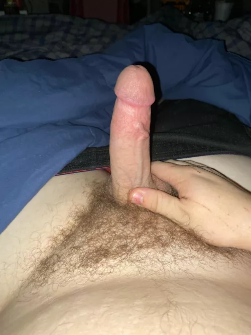 20 what do you think by mylawnhas