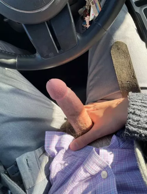 Blow me in the car? by Worried-Twist850