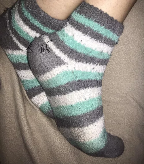 [F] [Selling] Fuzzy winter socks create the best smell by SVanF15
