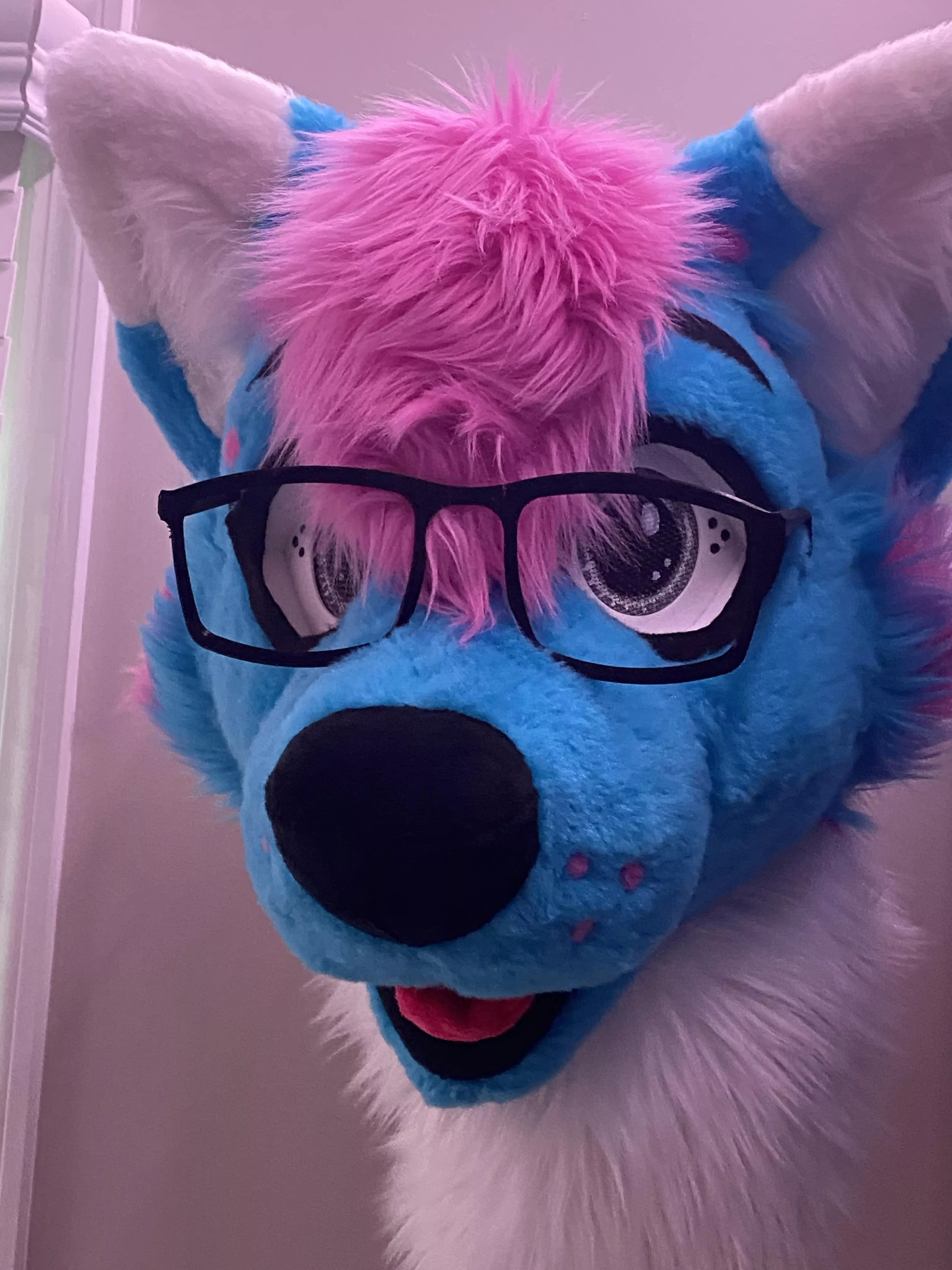 Gave my boi glasses, now I’m in love with them lmao. posted by Colonel-Clayton