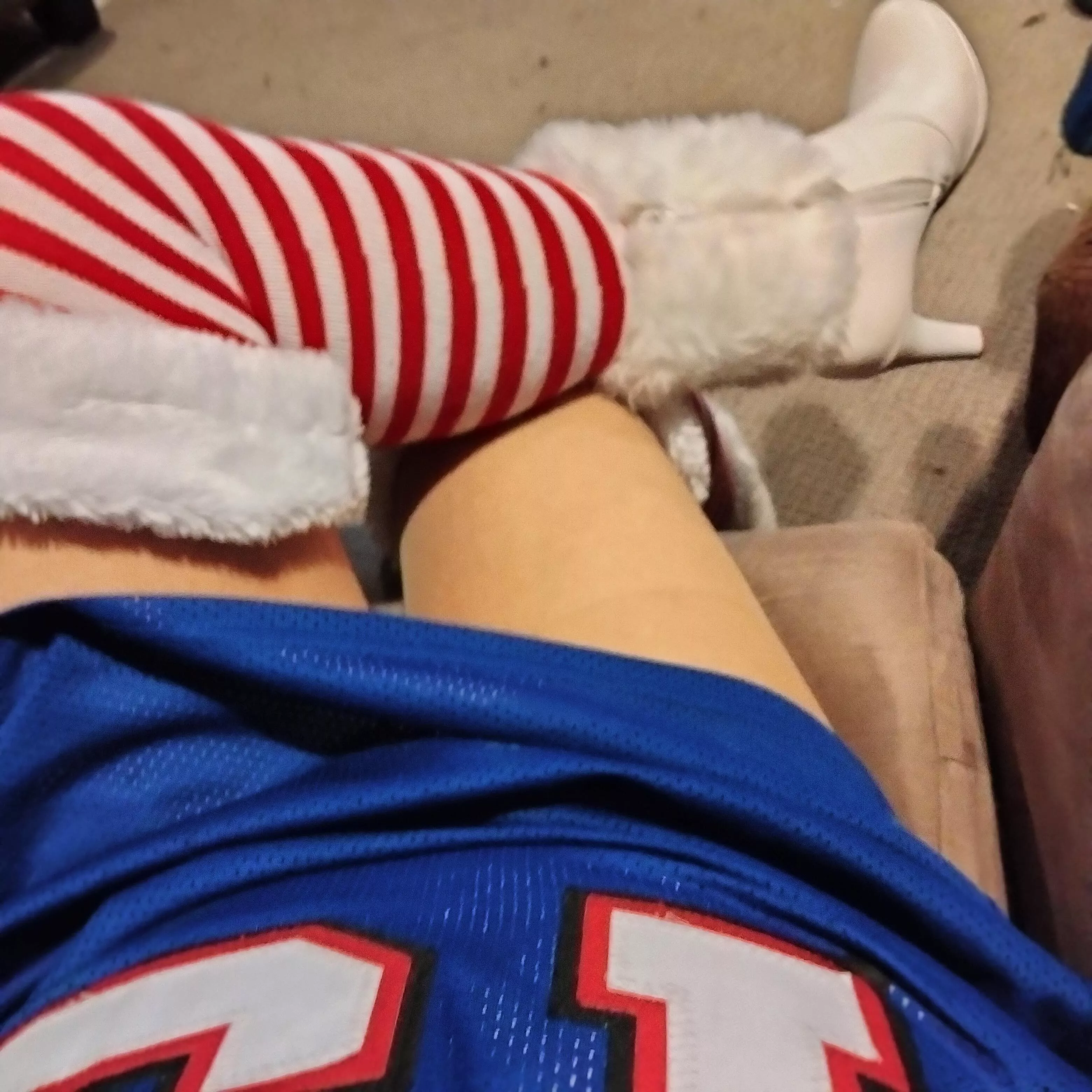 Go Bills!! posted by EveWilliams3383