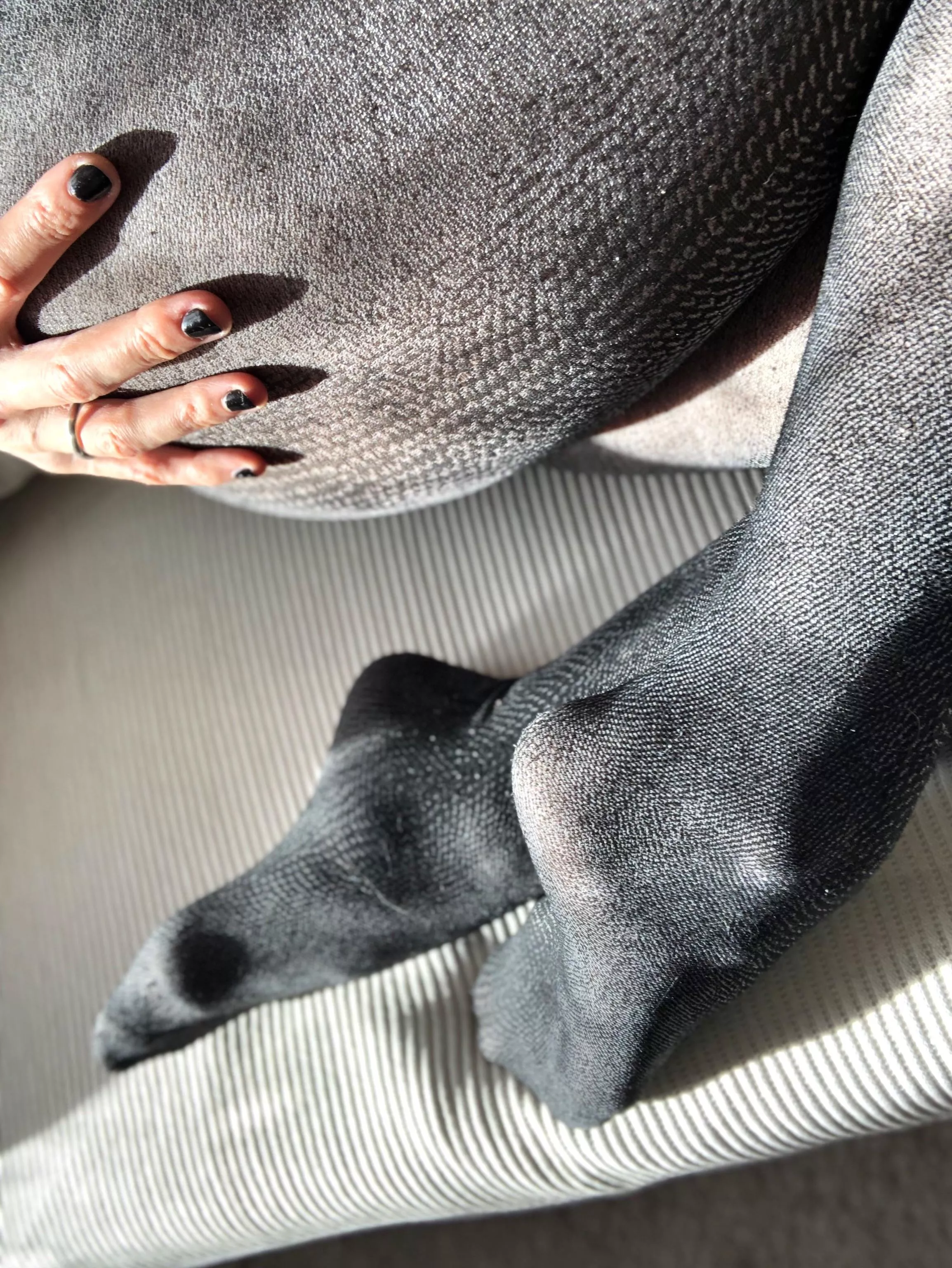 Gray. Color of the day posted by Nerdbird_OF