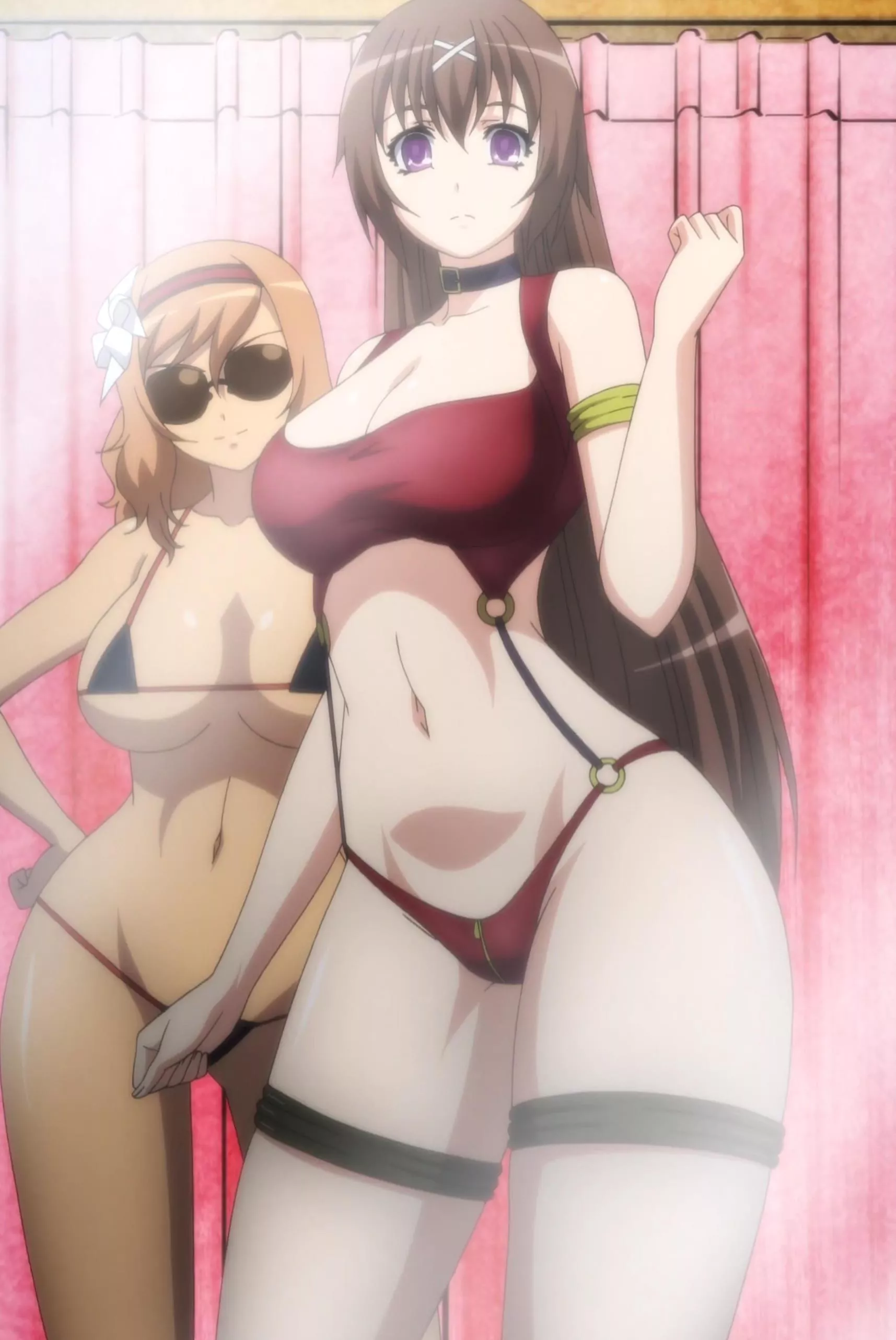 Mataemon Araki and Tokugawa Sen [Hyakka Ryouran Samurai Girls] posted by SuperGrillo