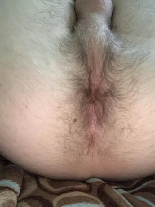 Or extra hairy? by Less_Preparation_409