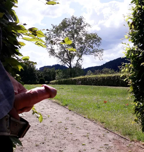 Public park boner by Hardy969