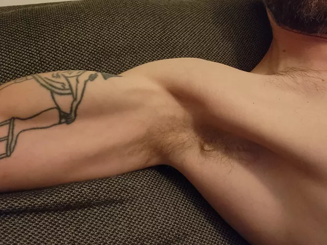 Sniff or lick? by AndyAnthers