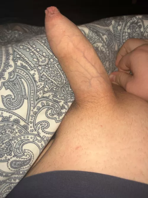 18 Heyy, German by Comfortable_Law7904