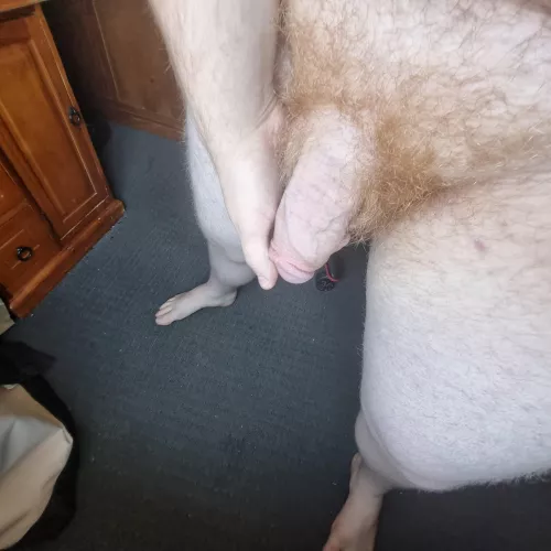 A bit overgrown by Just-Struggle-2270