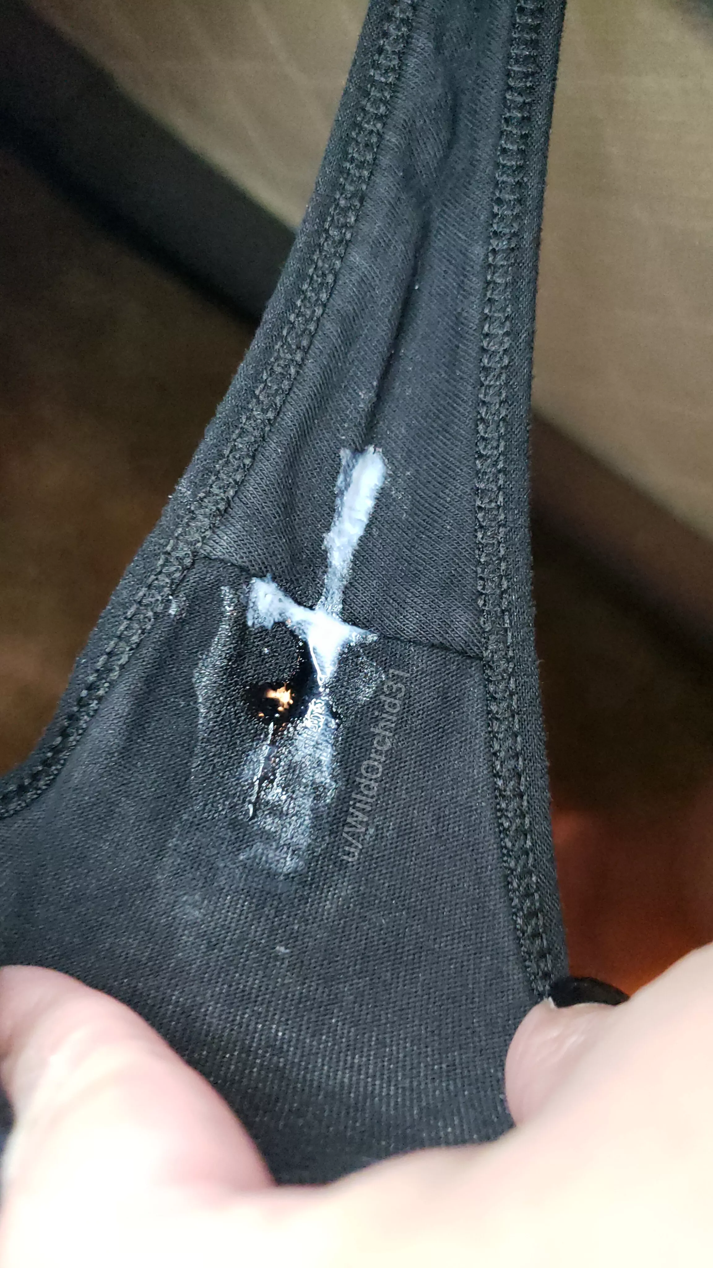 A little creamy posted by WildOrchid31