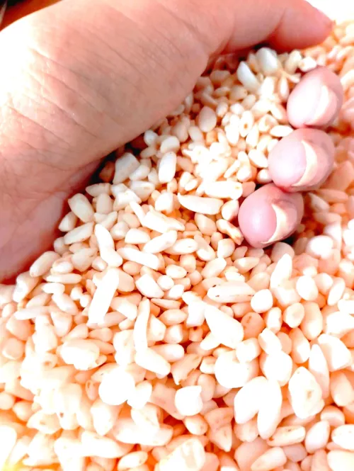 Cultivating excellence, delivering satisfaction ❤ by Orag16