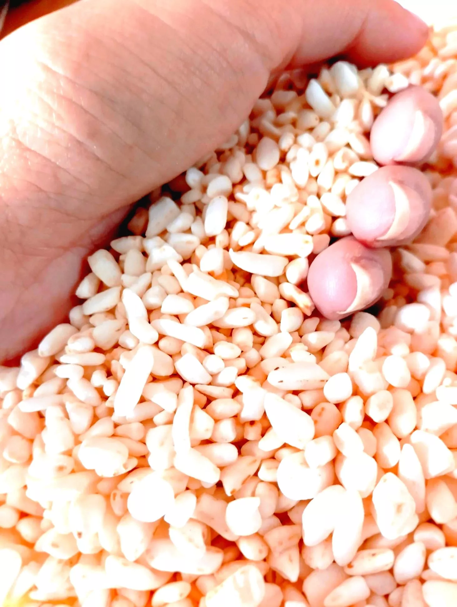 Cultivating excellence, delivering satisfaction ❤ posted by Orag16