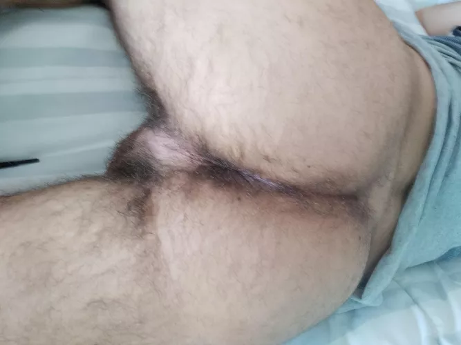 Hairy booty by MajesticEvidence