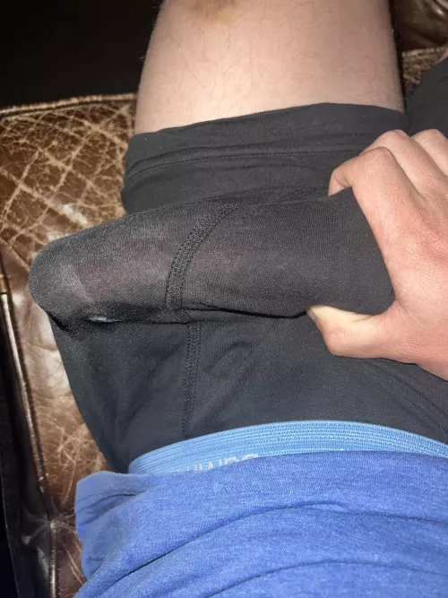 Humble outlines by z_isobod