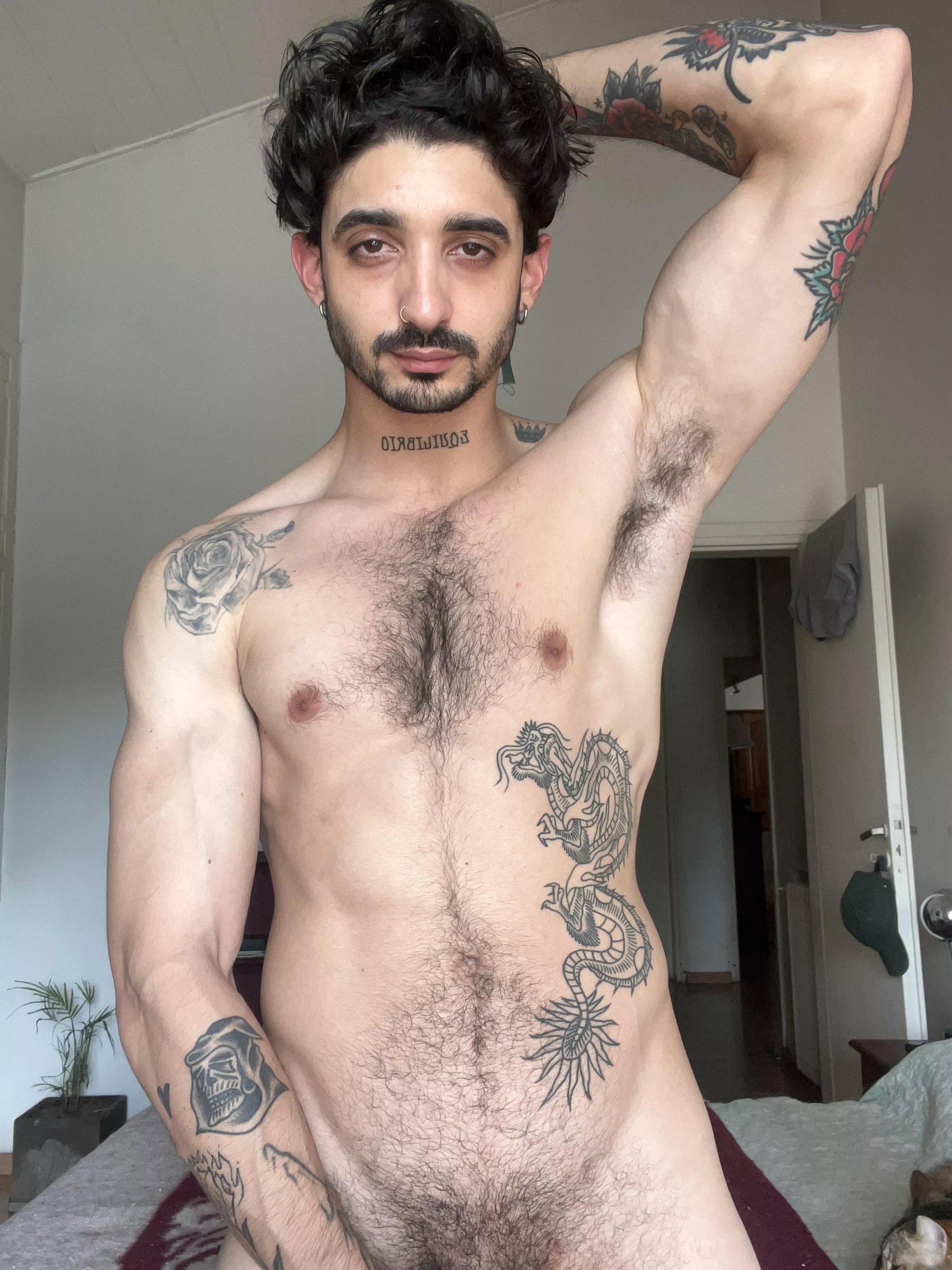 Like what you see? posted by fffffrancis