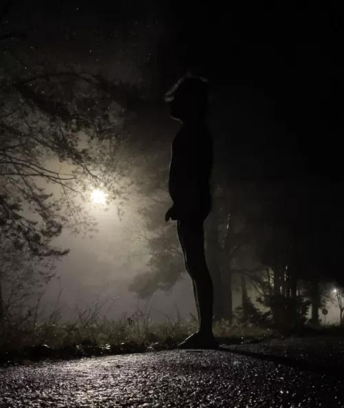 Mighty, cold spotlight. by Cool-Veterinarian974