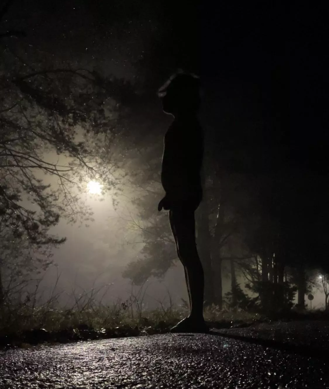 Mighty, cold spotlight. posted by Cool-Veterinarian974