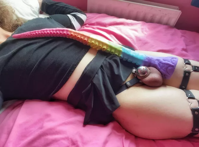 My nub cage looks adorably small next to this 20 inch tentacle, wouldn't you agree? 💗 by rainbow-femboy
