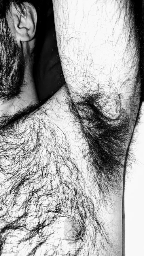 Newbie here by Anxious_Ananas_643