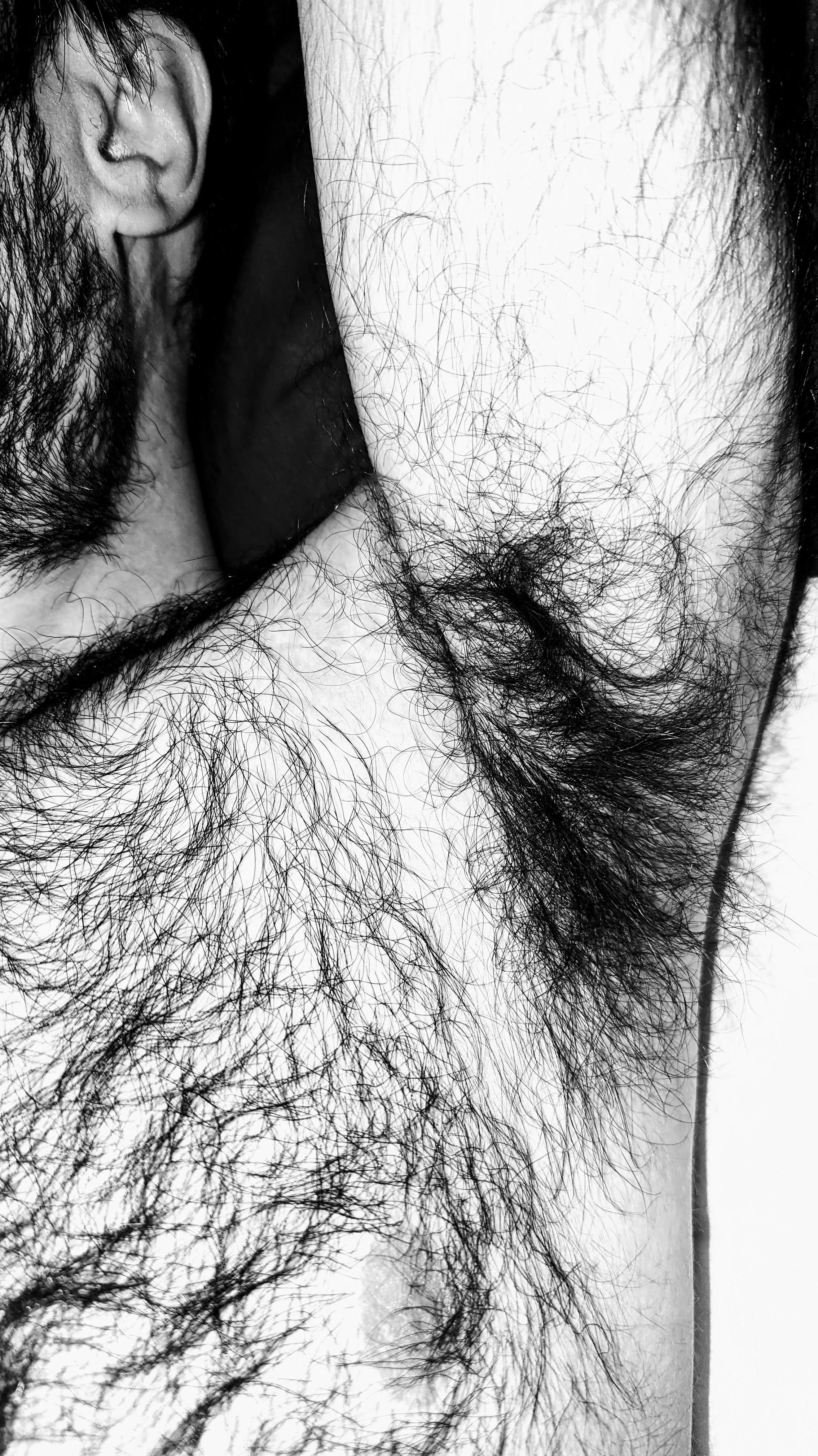 Newbie here posted by Anxious_Ananas_643