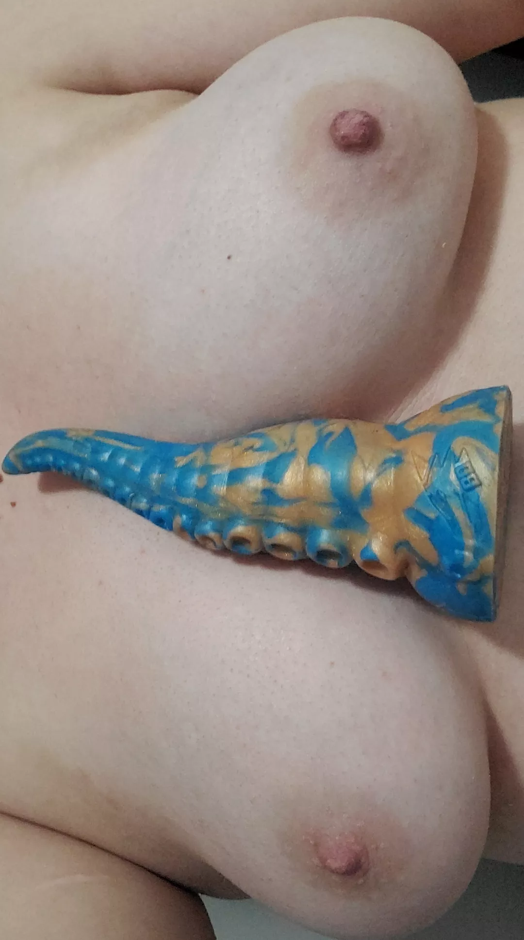 Showing of my small ika posted by chaosdemon4ever