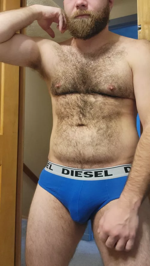 Those brief can barely contain me when soft by hairyMtl